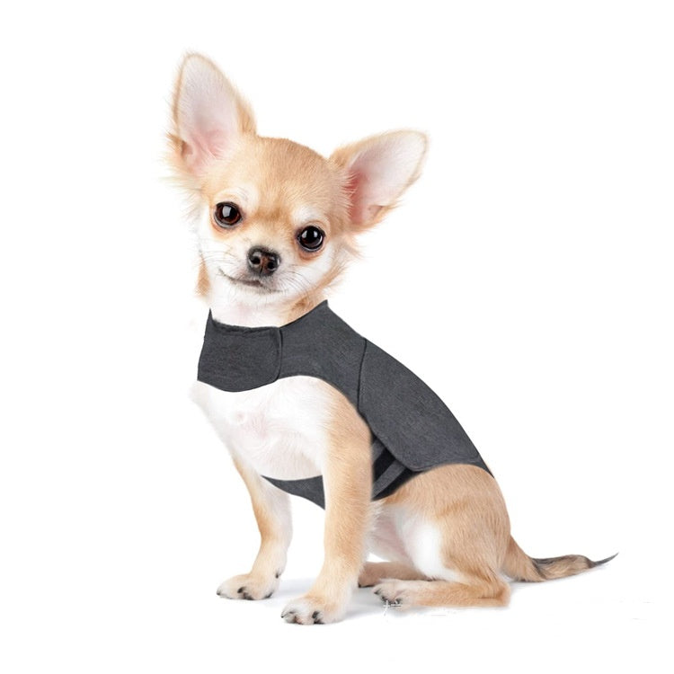 Why Quality Pet Supplies Matter for Happy, Healthy Pets