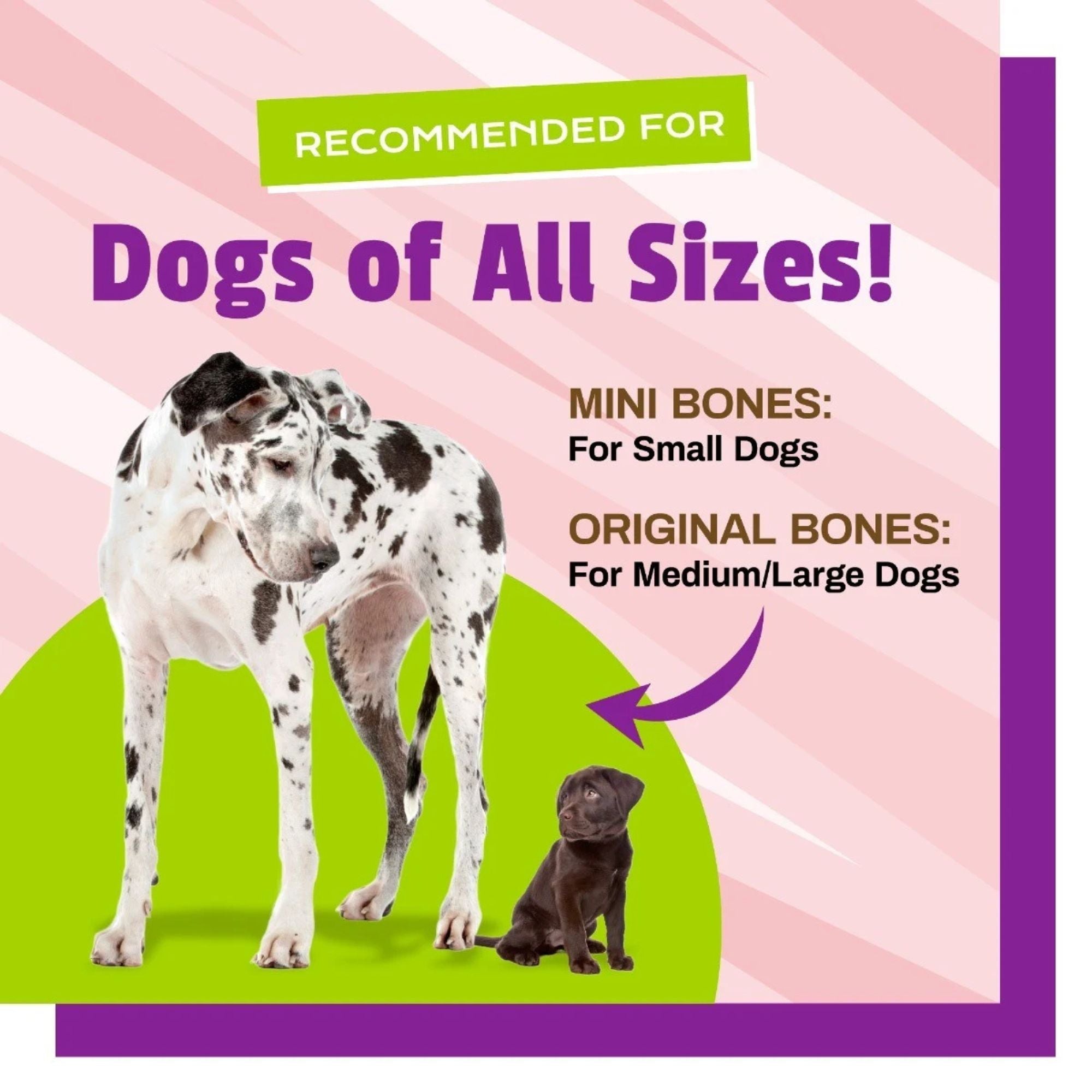 Pet Naturals Dog Busy Butter Balanced Belly Bones Small