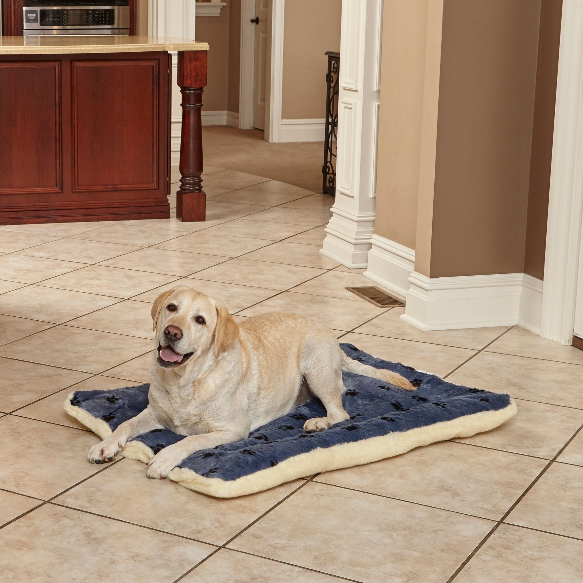 MidWest Homes for Pets Reversible Paw Print Dog Bed Blue 1ea/26in. X 42in.