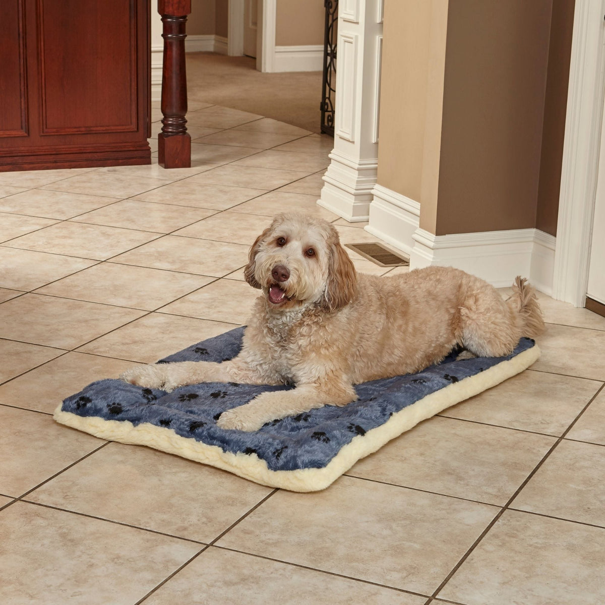 MidWest Homes for Pets Reversible Paw Print Dog Bed Blue 1ea/30in. X 48in.
