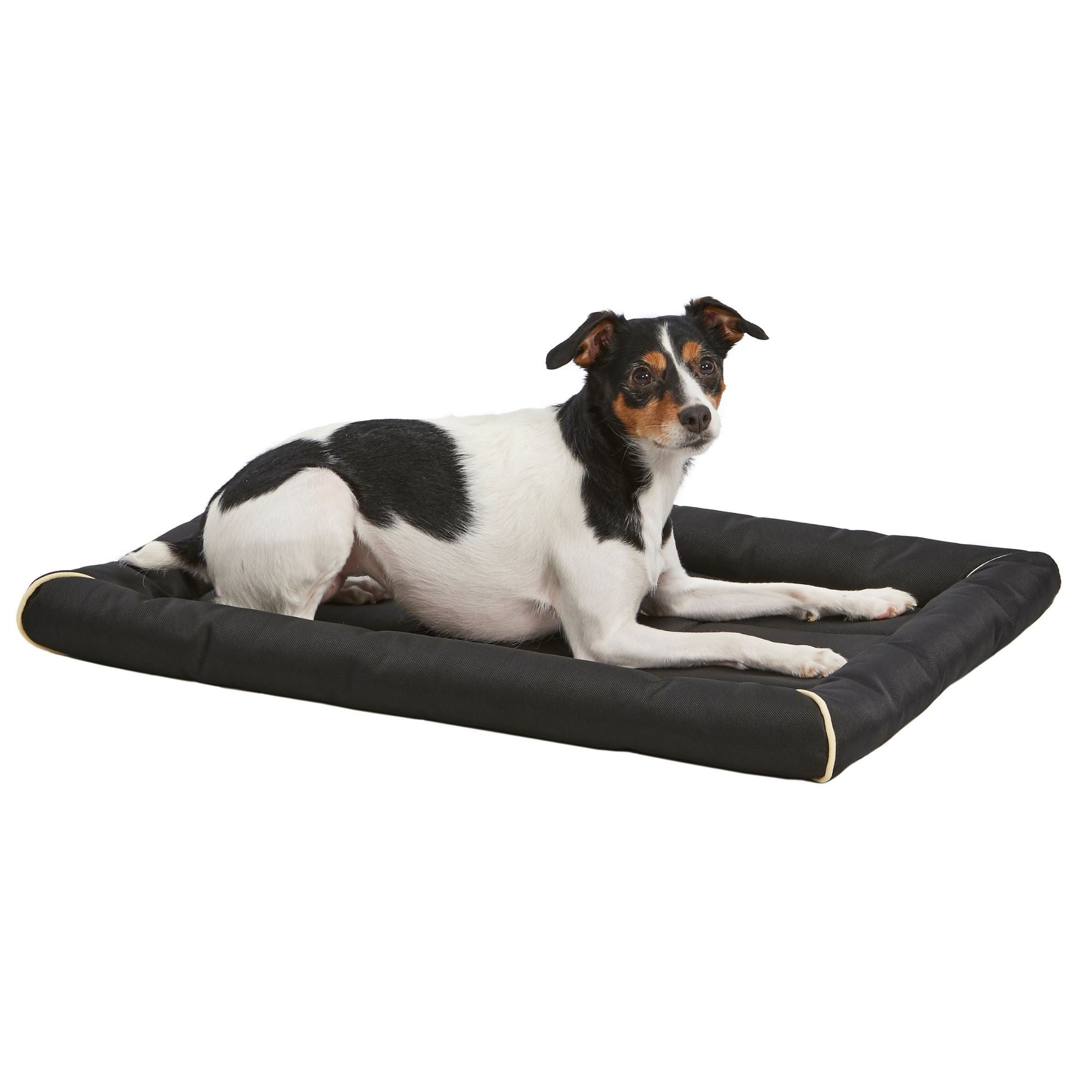 MidWest Homes for Pets MAXX Ultra Rugged Dog Bed Black 1ea/30in.