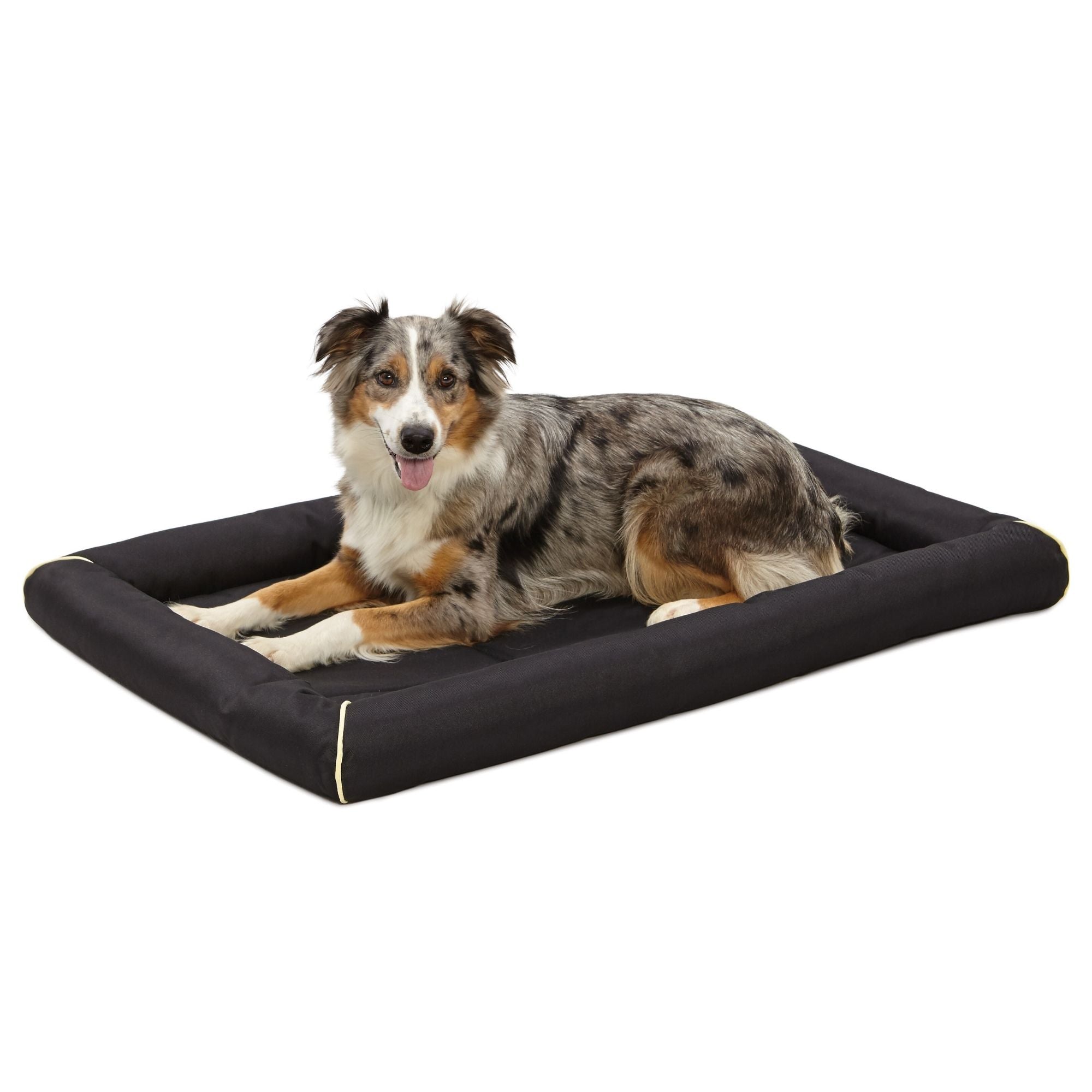 MidWest Homes for Pets MAXX Ultra Rugged Dog Bed Black 1ea/42in.