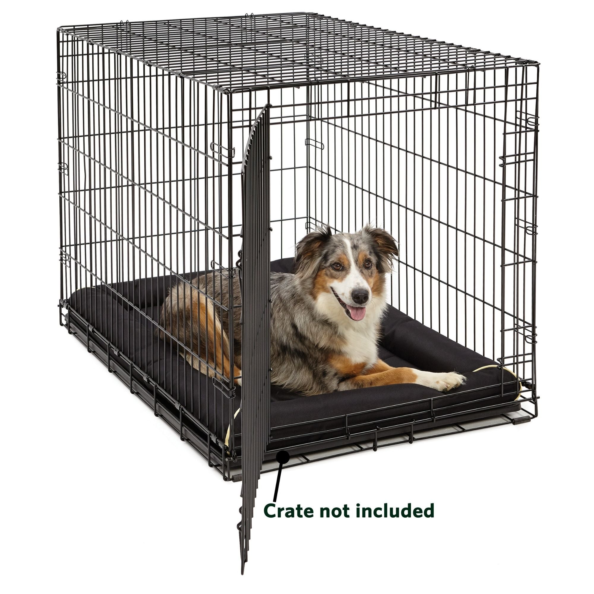 MidWest Homes for Pets MAXX Ultra Rugged Dog Bed Black 1ea/42in.