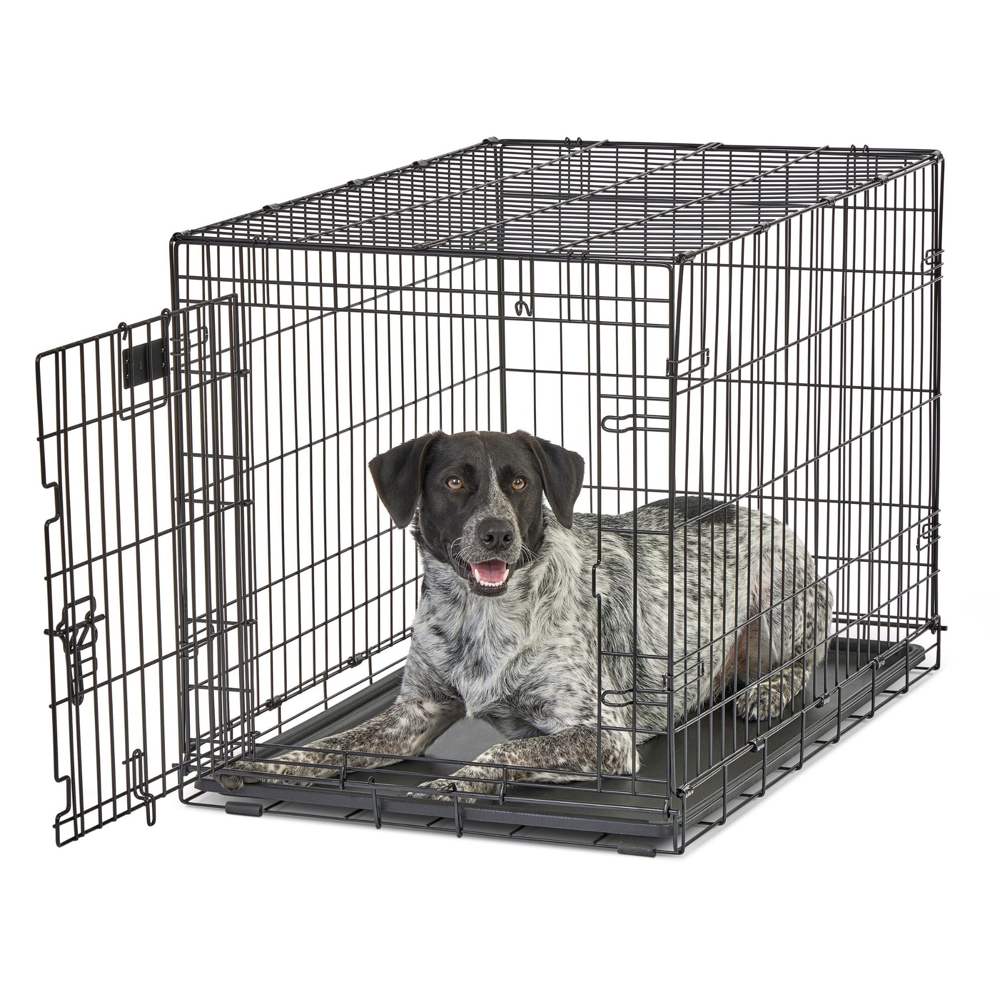 MidWest Homes for Pets Contour Single Door Dog Crate 1ea/36in.