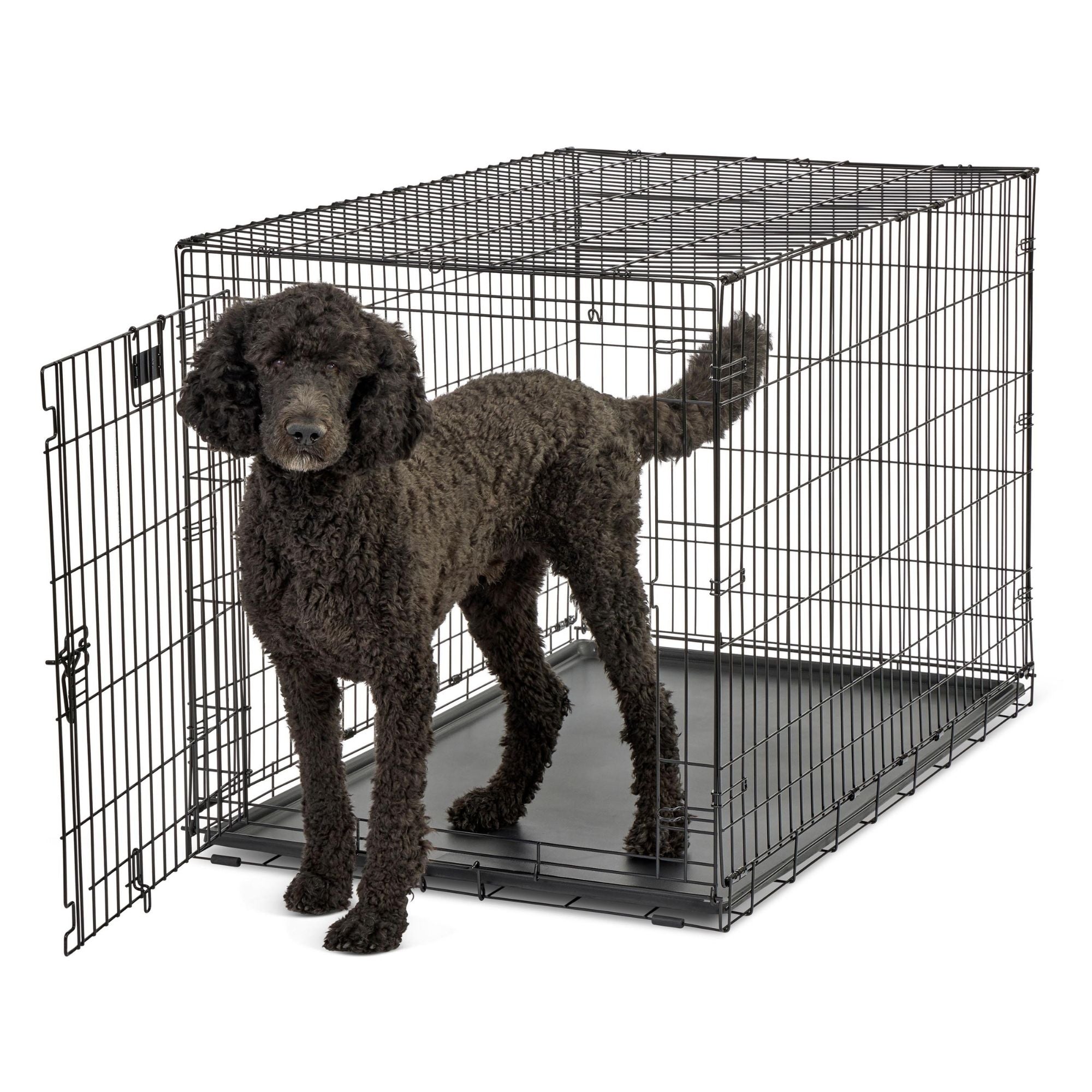 MidWest Homes for Pets Contour Single Door Dog Crate 1ea/48in.
