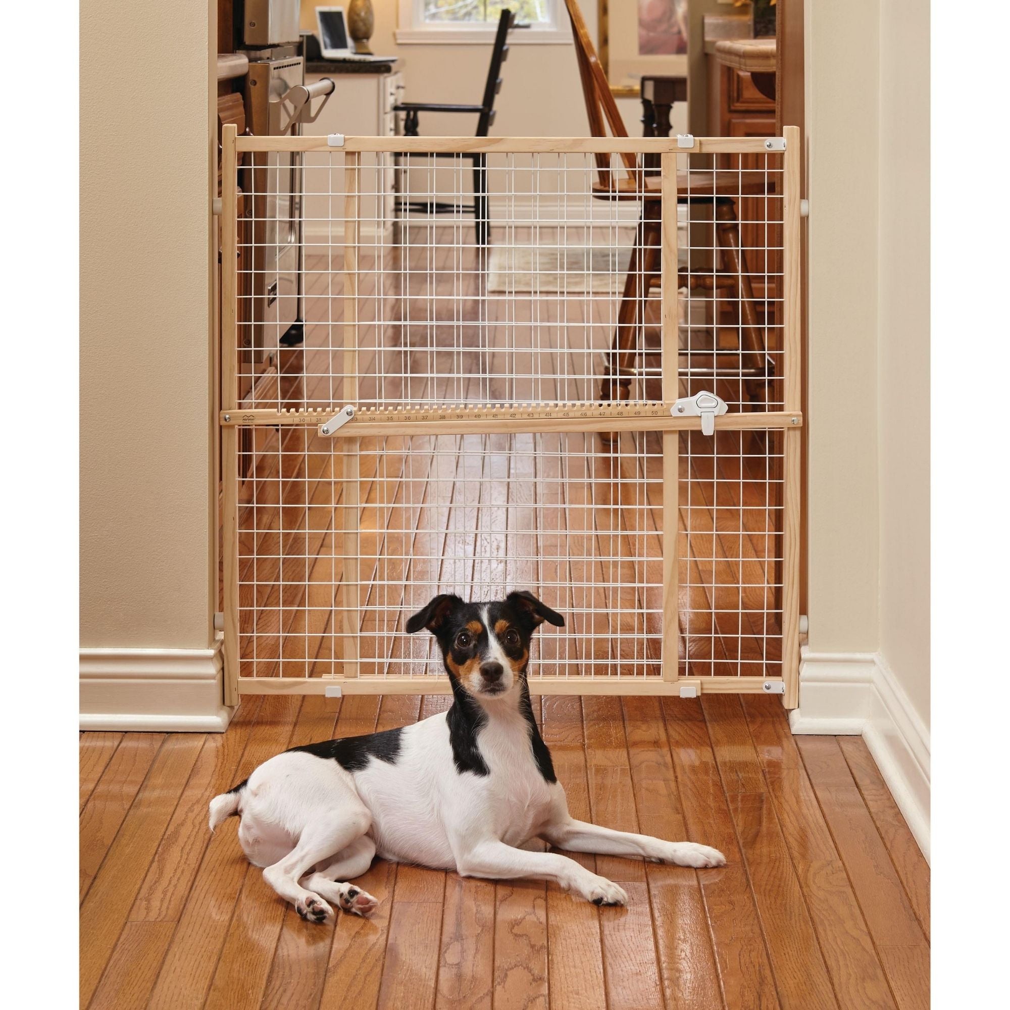 MidWest Homes for Pets Wood Pet Gate w/ Wire Mesh 1ea/32in.