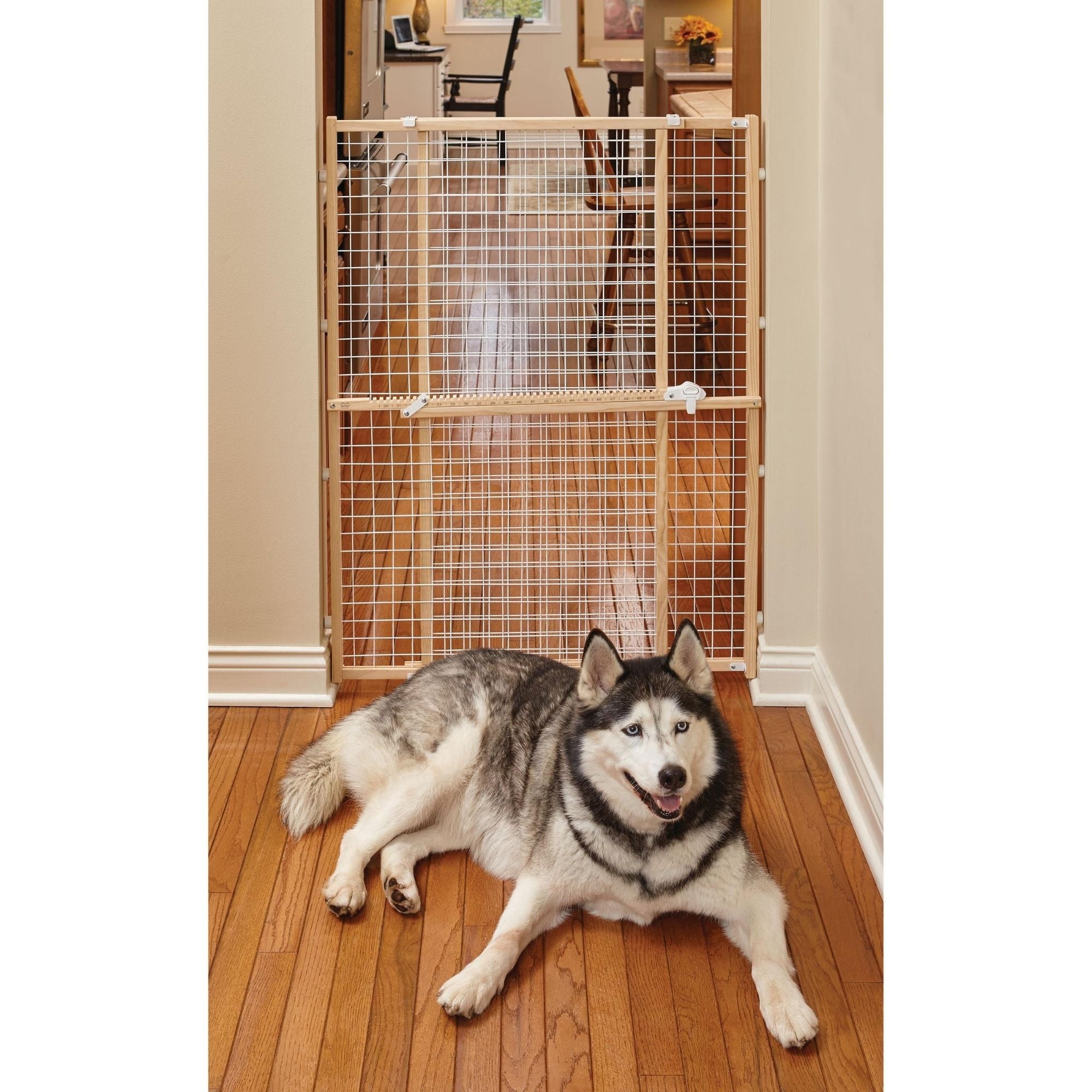 MidWest Homes for Pets Expandable Wood Gate 1ea/29-50in X 44in.