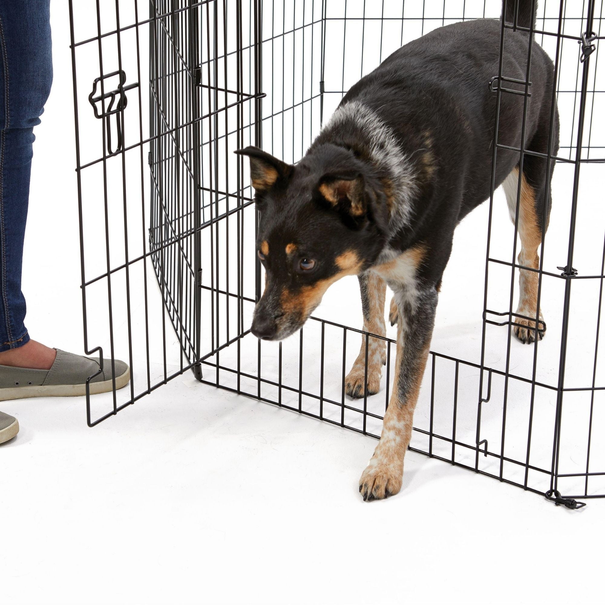 MidWest Homes for Pets Contour Exercise Pen w/ Door 1ea/48in.