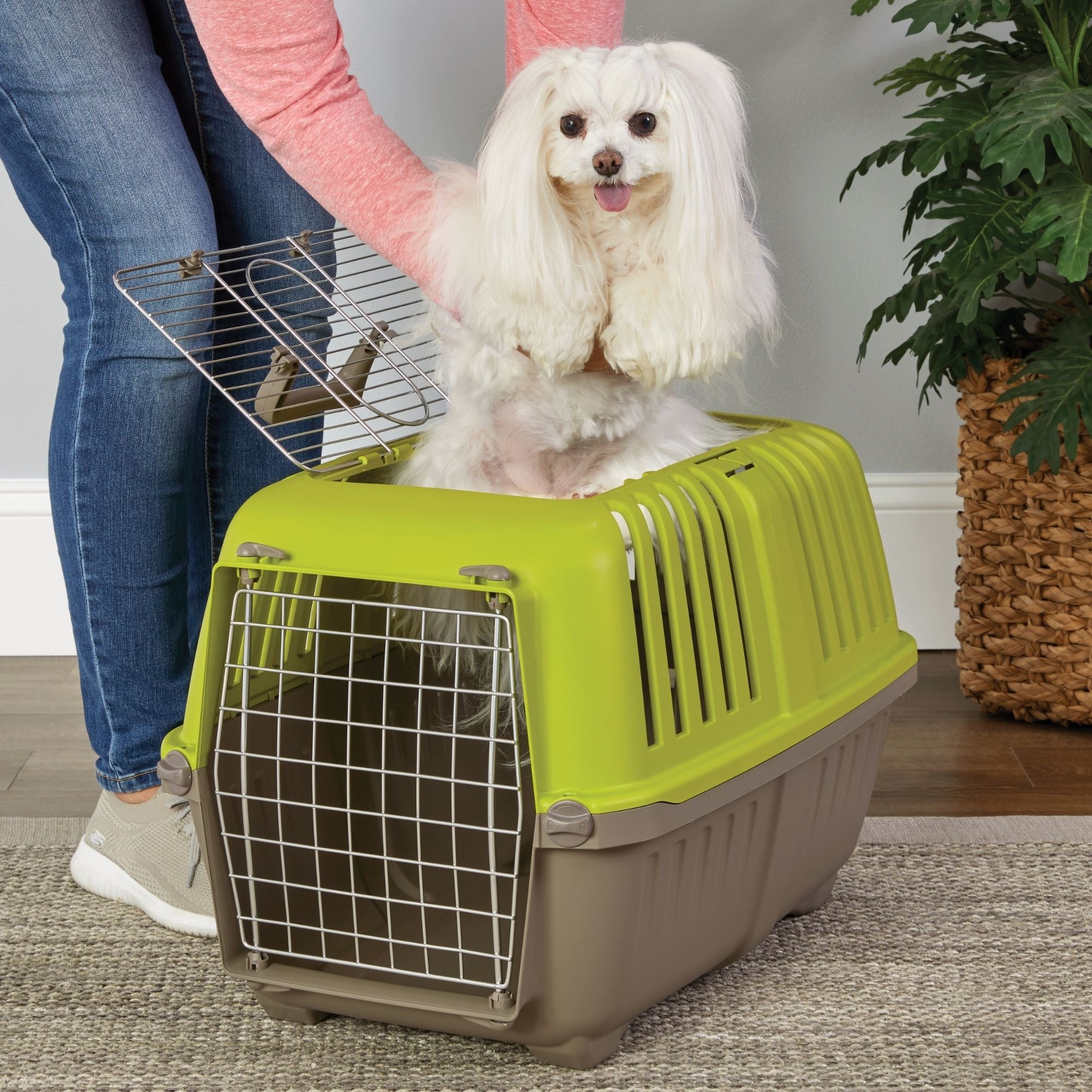 MidWest Homes for Pets Spree Top Loading Dog Carrier Green 1ea/24in.