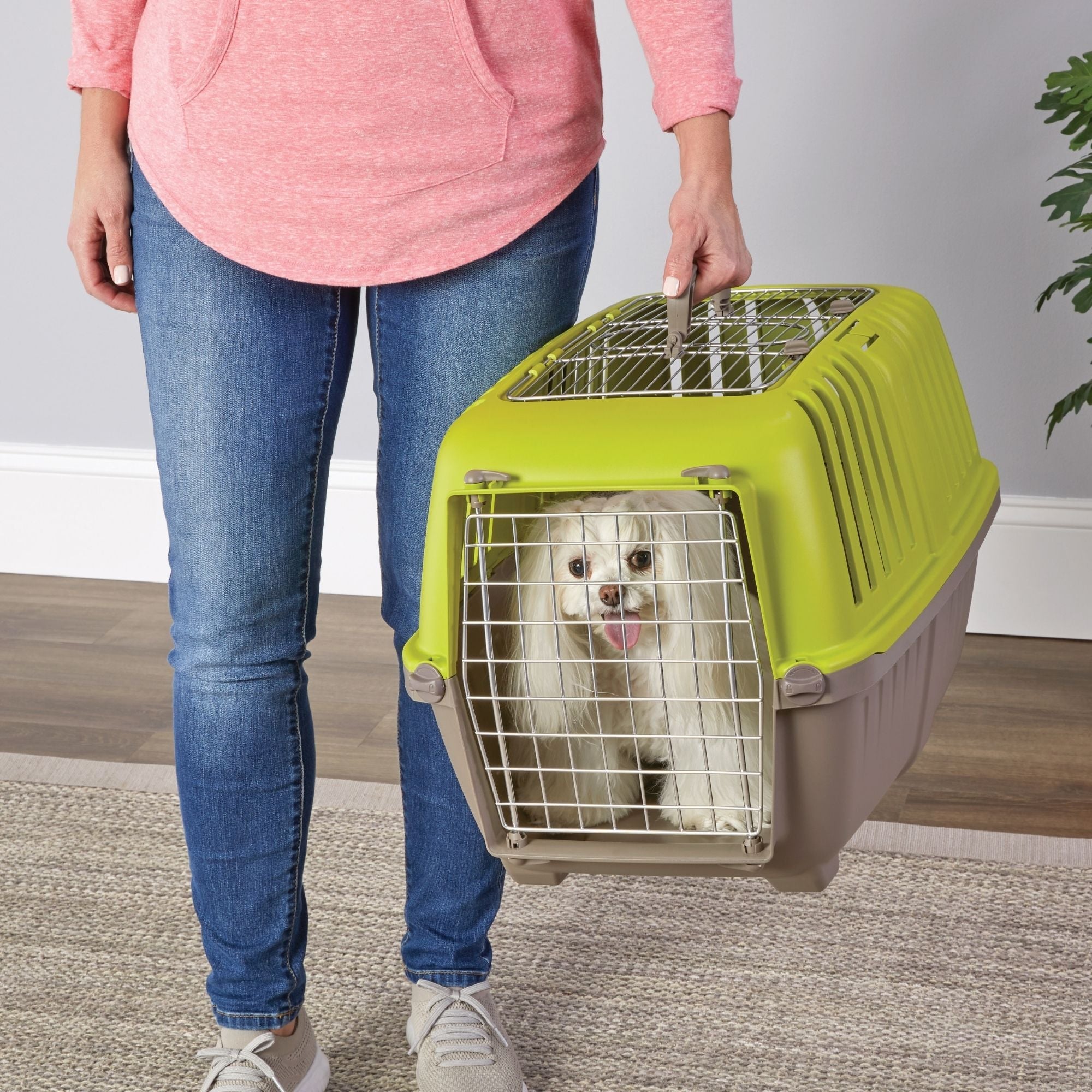 MidWest Homes for Pets Spree Top Loading Dog Carrier Green 1ea/24in.