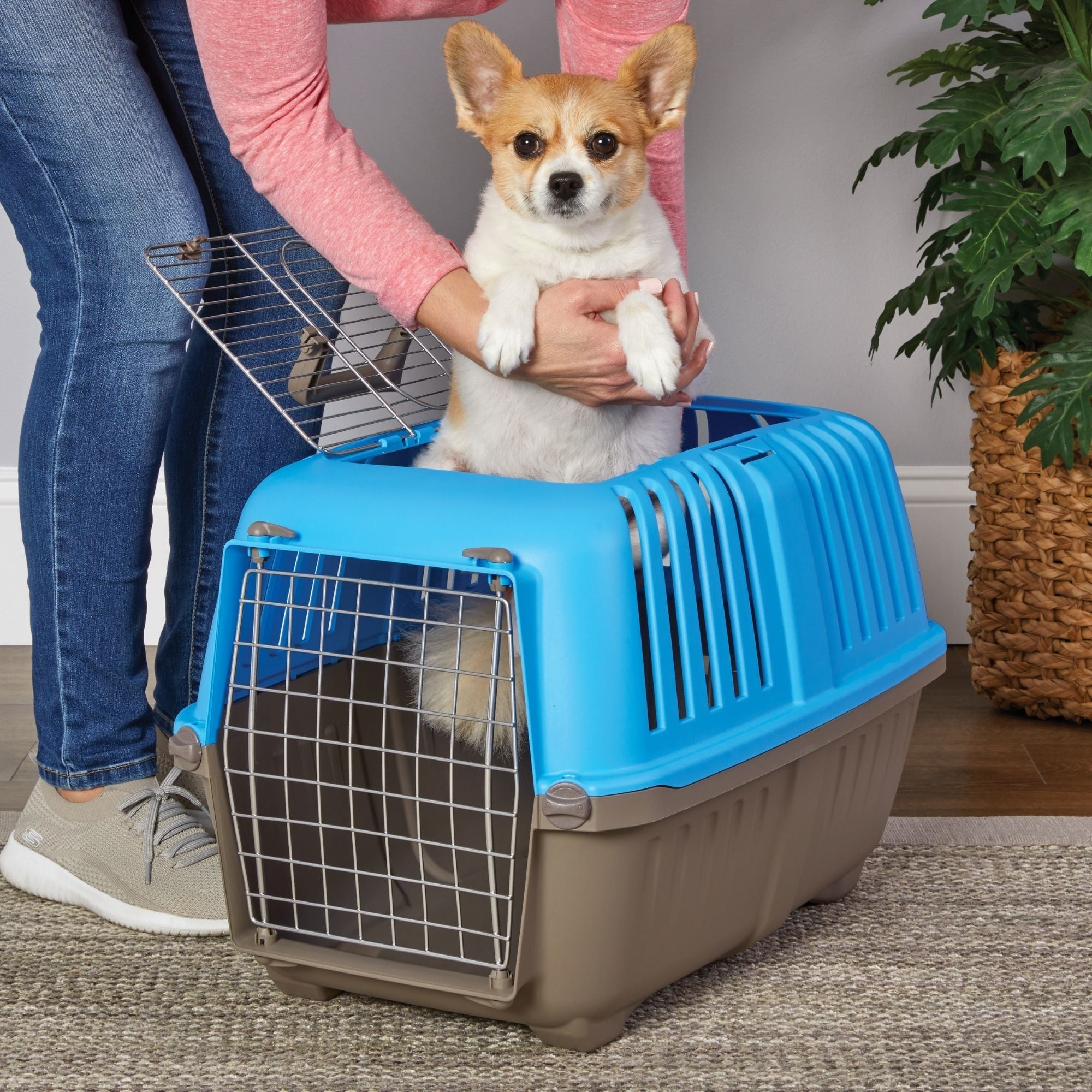 MidWest Homes for Pets Spree Top Loading Dog Carrier Blue 1ea/24in.