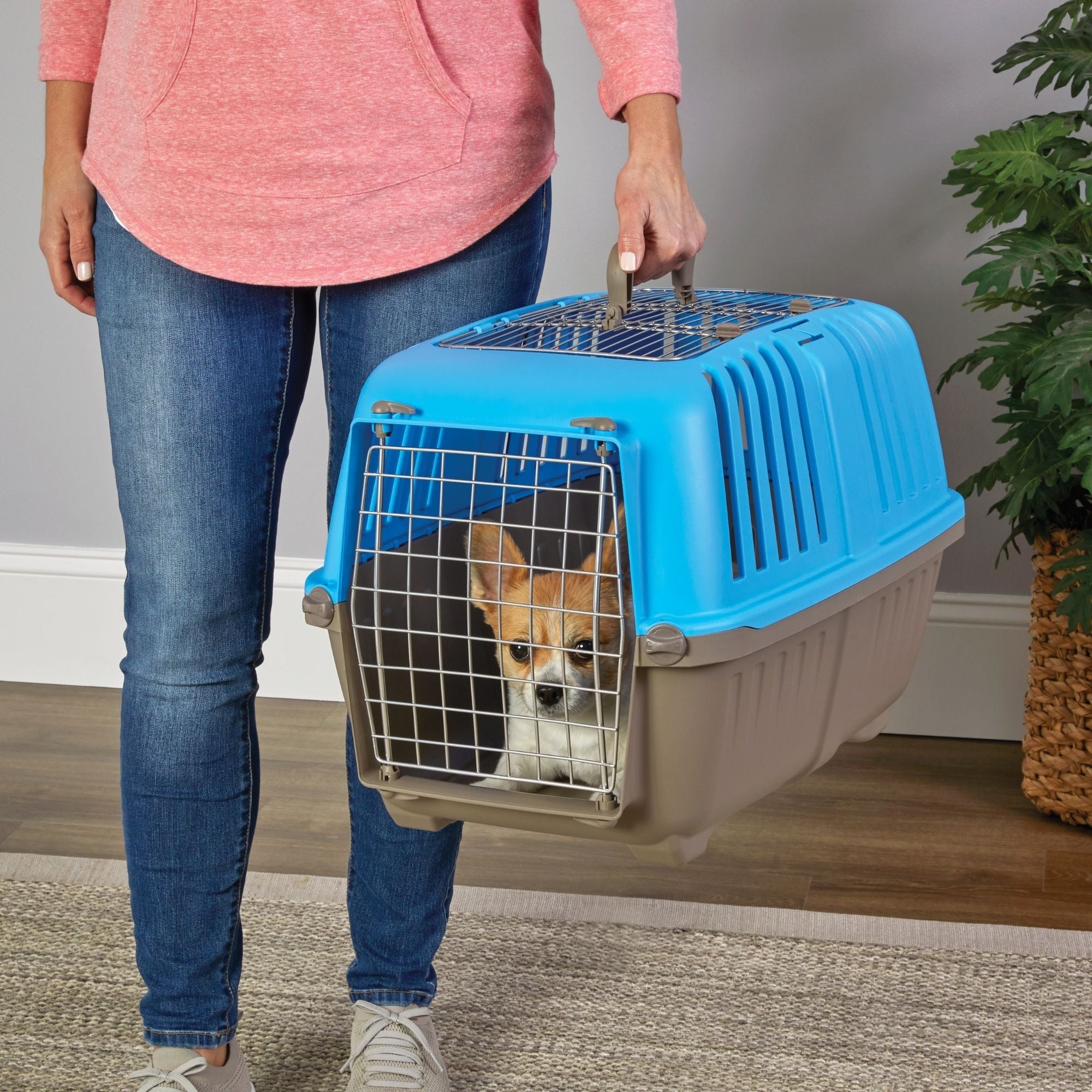 MidWest Homes for Pets Spree Top Loading Dog Carrier Blue 1ea/24in.