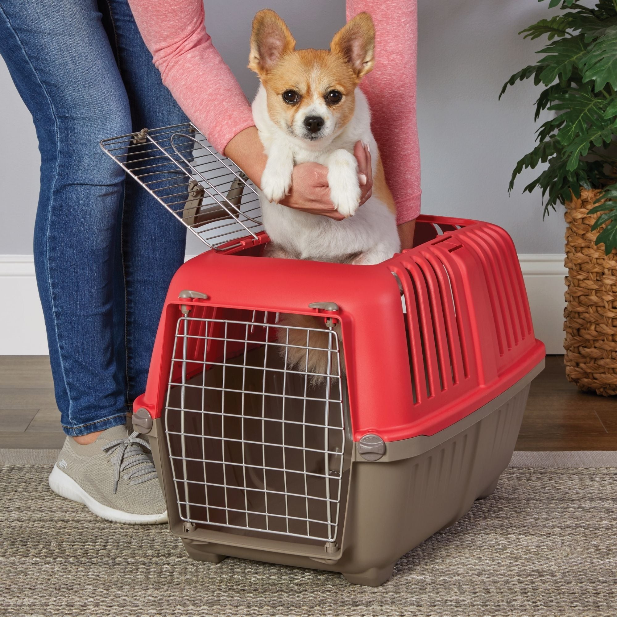 MidWest Homes for Pets Spree Top Loading Dog Carrier Red 1ea/24in.
