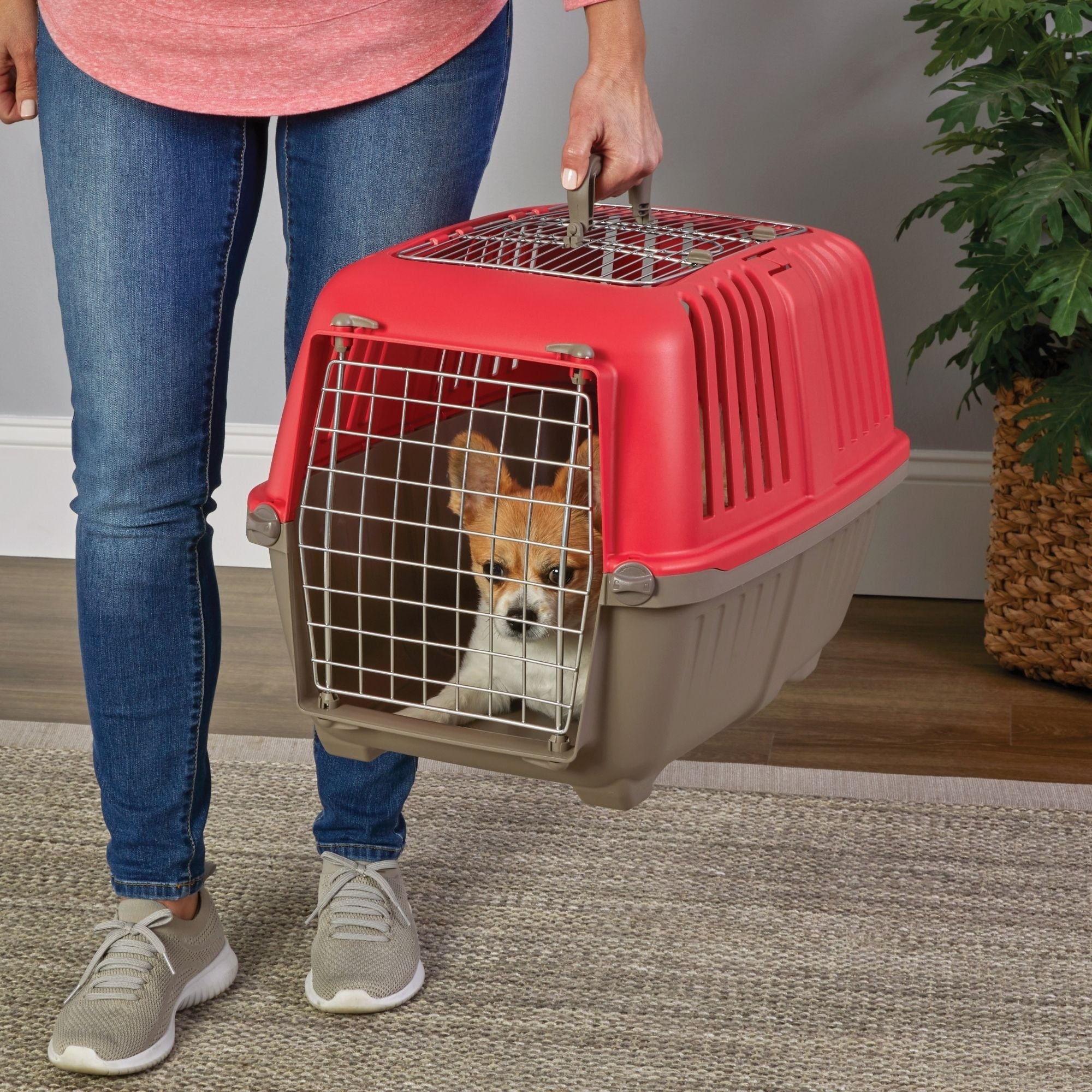 MidWest Homes for Pets Spree Top Loading Dog Carrier Red 1ea/24in.