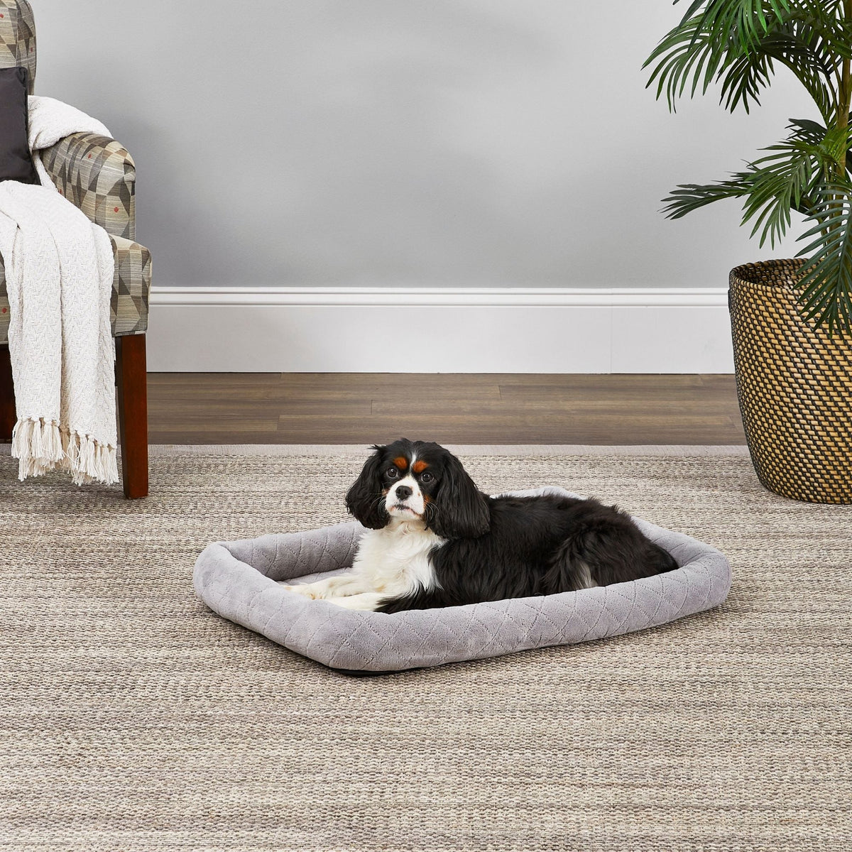 MidWest Homes for Pets Deluxe Diamond Stitch Pet Dog Bed Gray 1ea/30in.