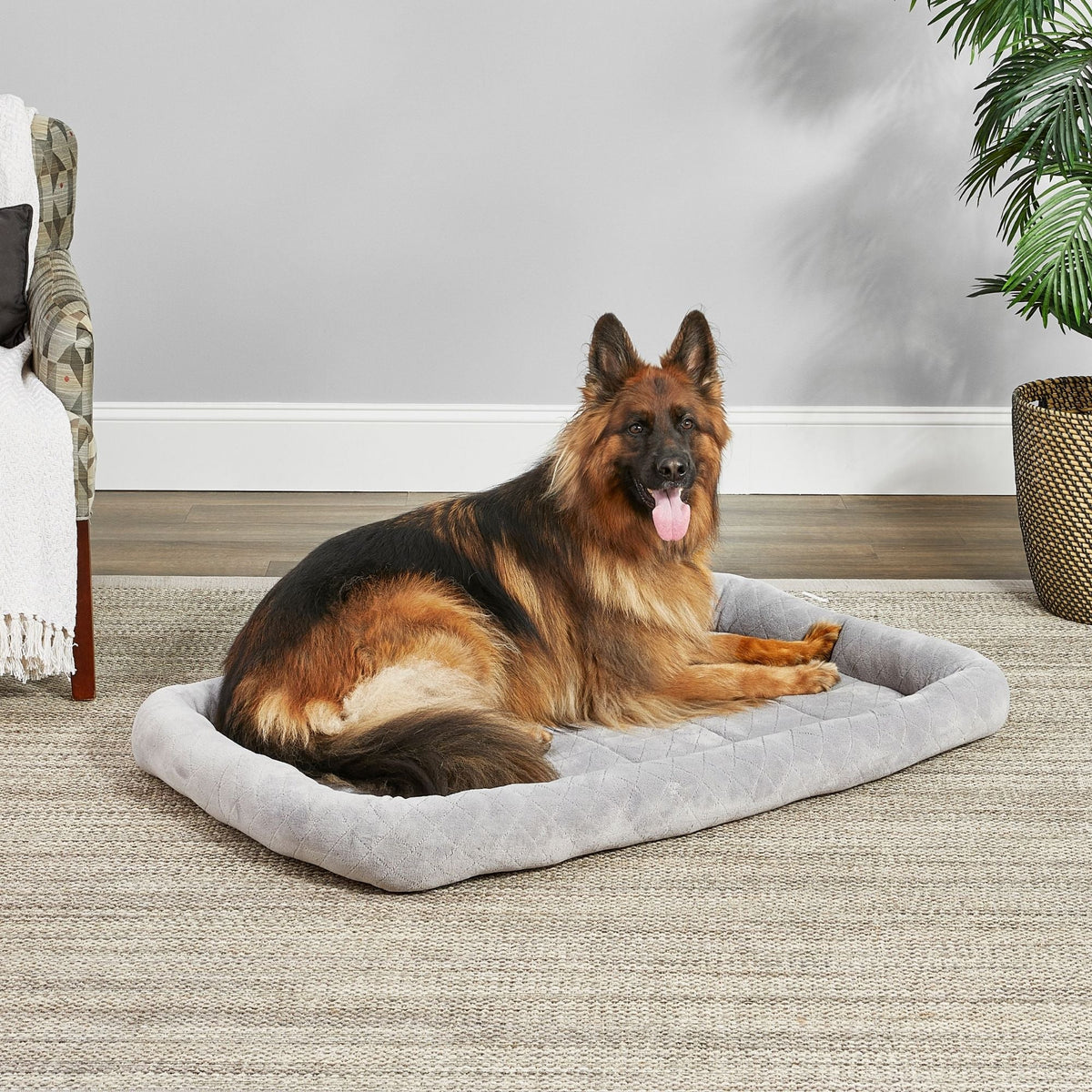 MidWest Homes for Pets Deluxe Diamond Stitch Pet Dog Bed Gray 1ea/48in.