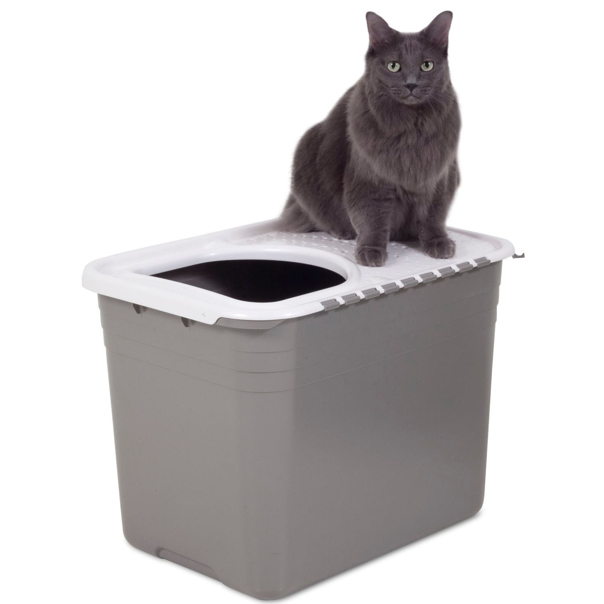Petmate Top Entry Cat Litter Box Brushed Nickel Base, Pearl White Lid 1ea/One Size