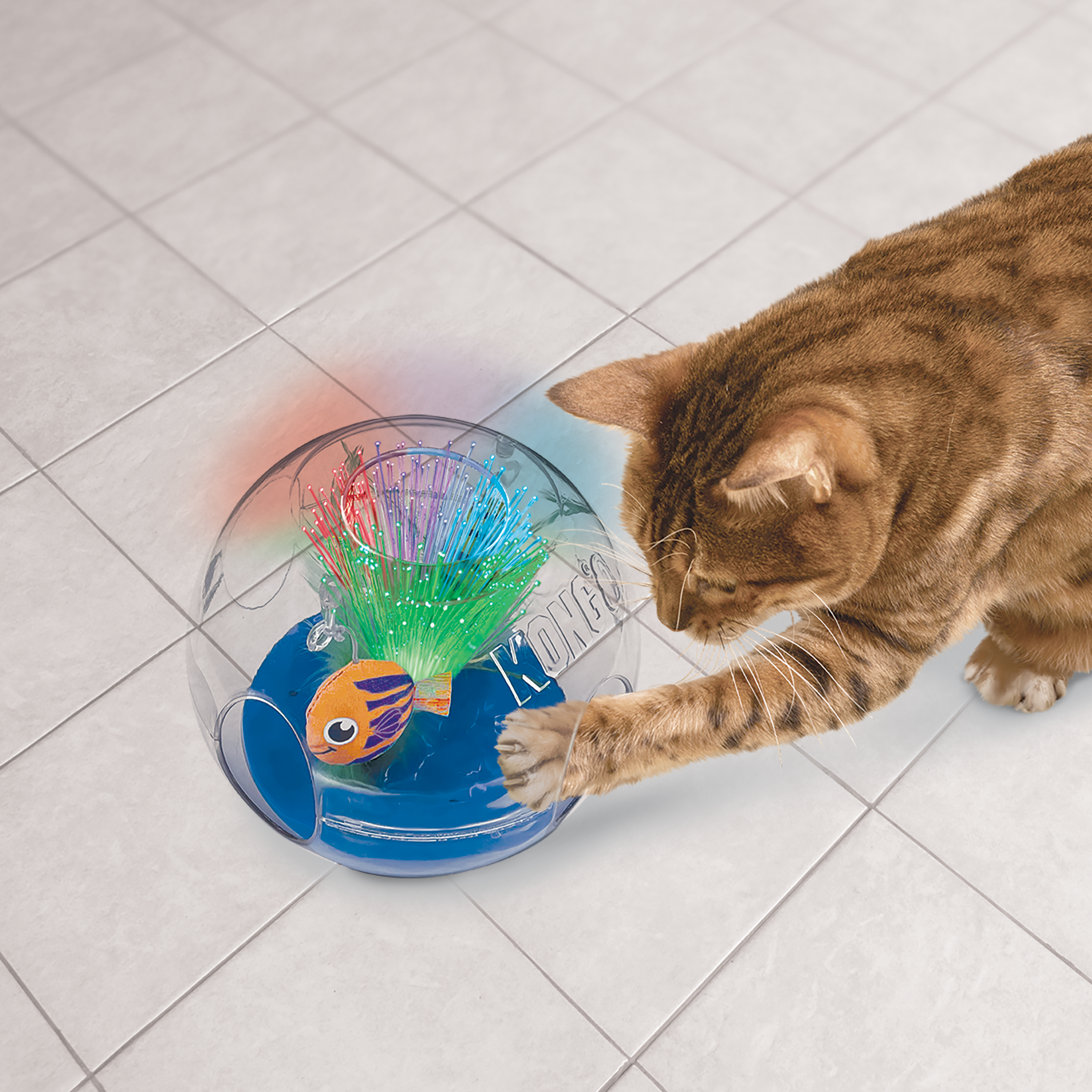 Cat playing with a colorful toy on a tiled floor