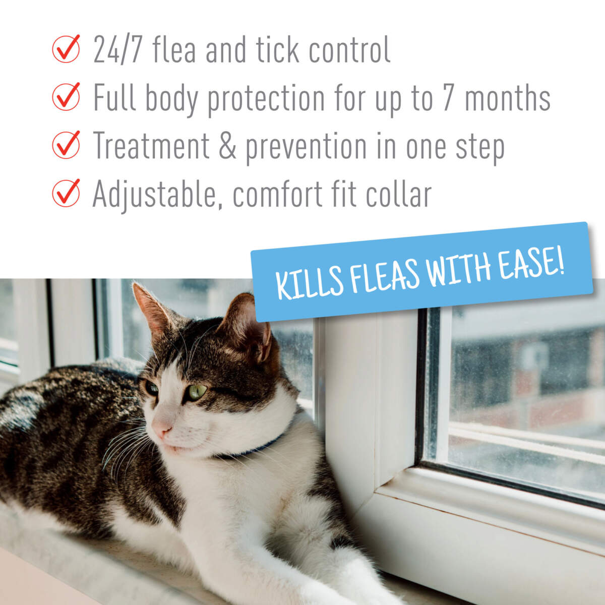 Adams Plus Flea  Tick Collar for Cats 1ea/1 pk