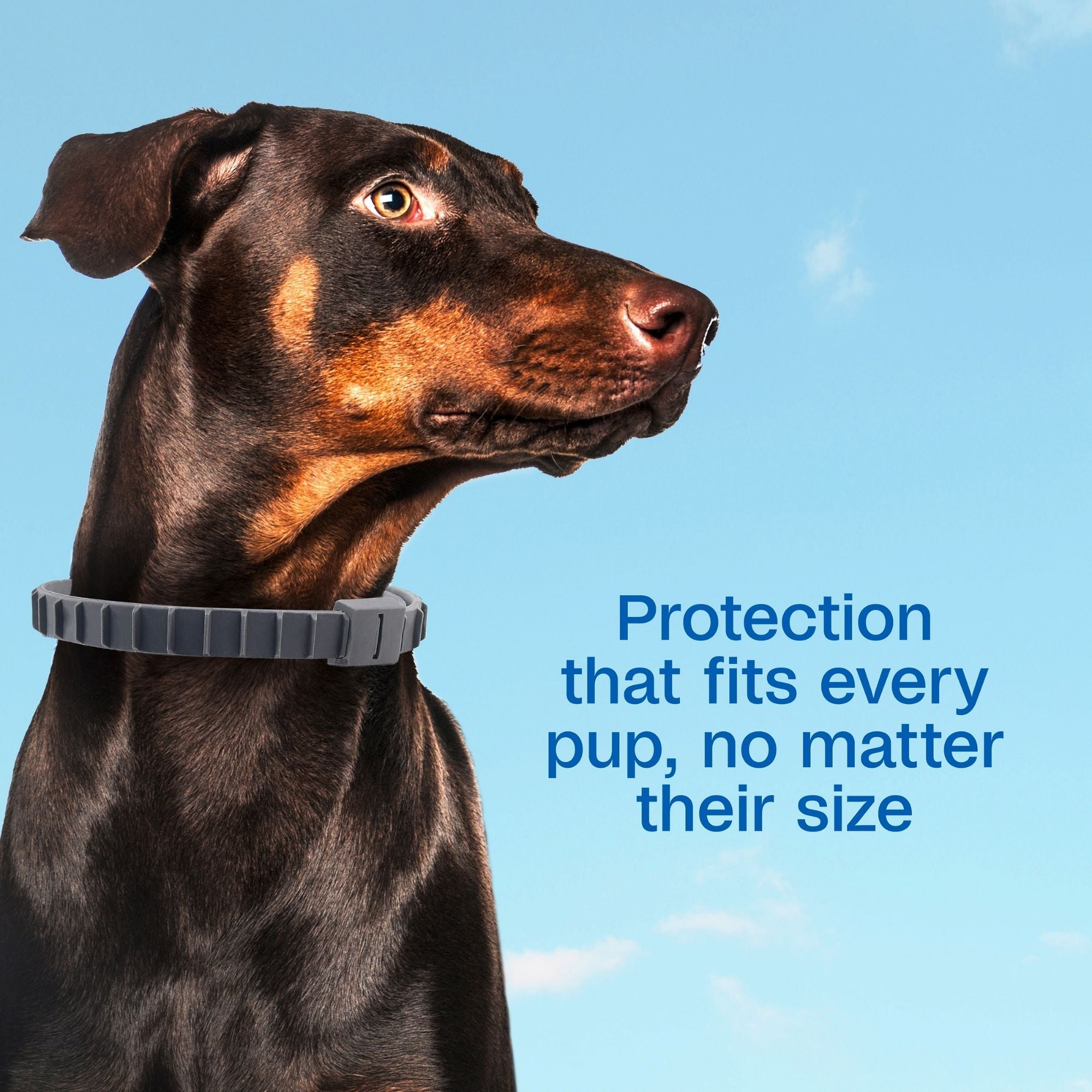 ADAMS Flea & Tick Collar Plus for Dogs and Puppies, 1 pack 1ea/1 pk