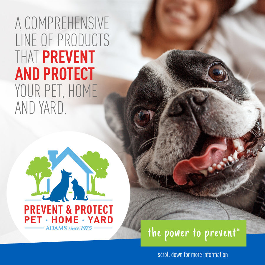 Adams Plus Flea  Tick Collar for Dogs, Small 1ea/SMall