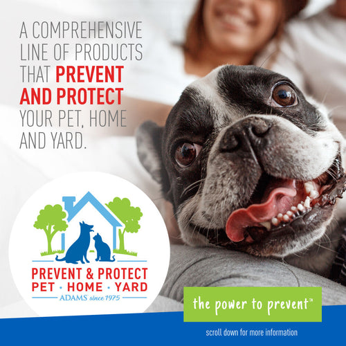 Adams Plus Flea  Tick Collar for Dogs, Small 1ea/SMall