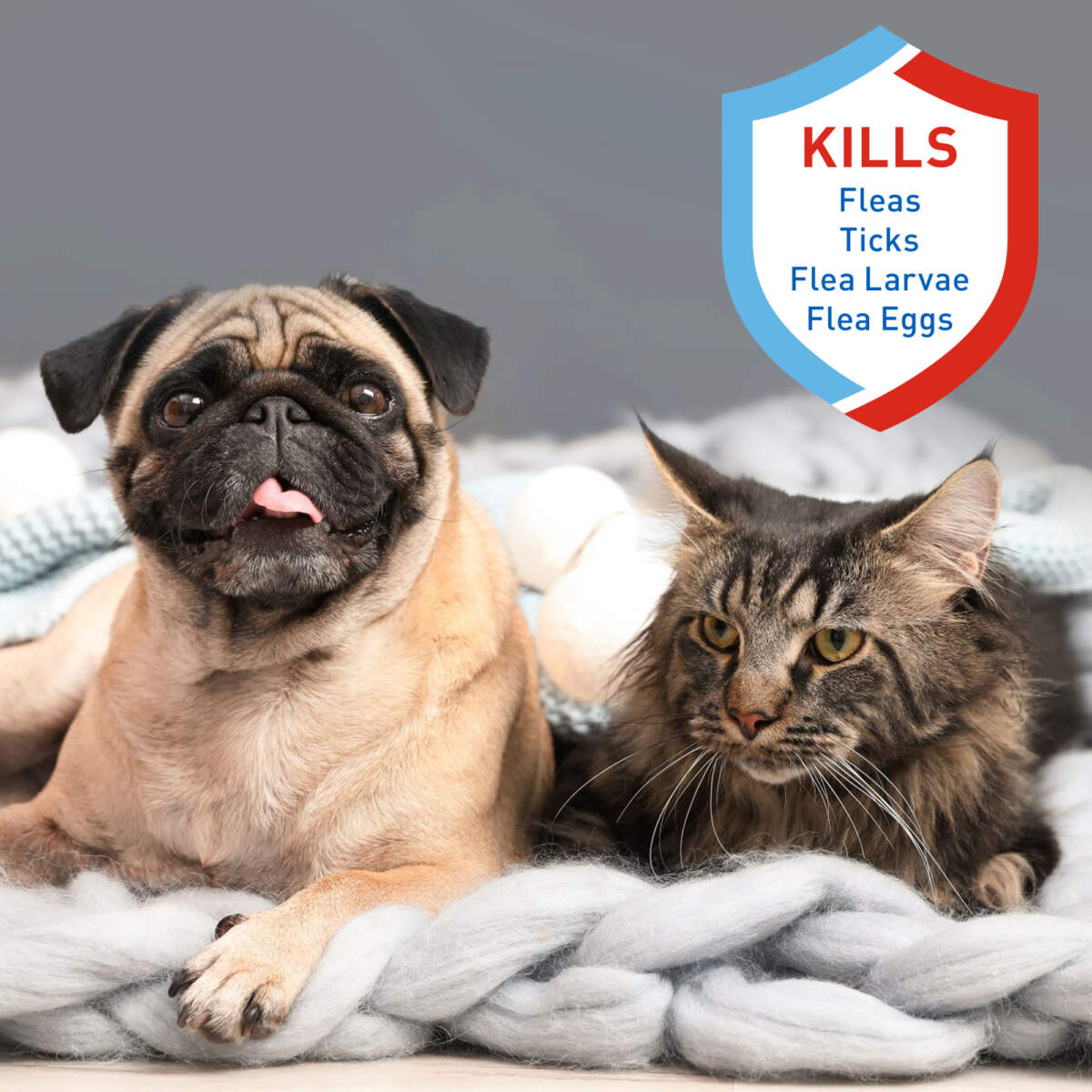 Adams Flea  Tick Dog and Cat Spray 1ea/32 fl oz
