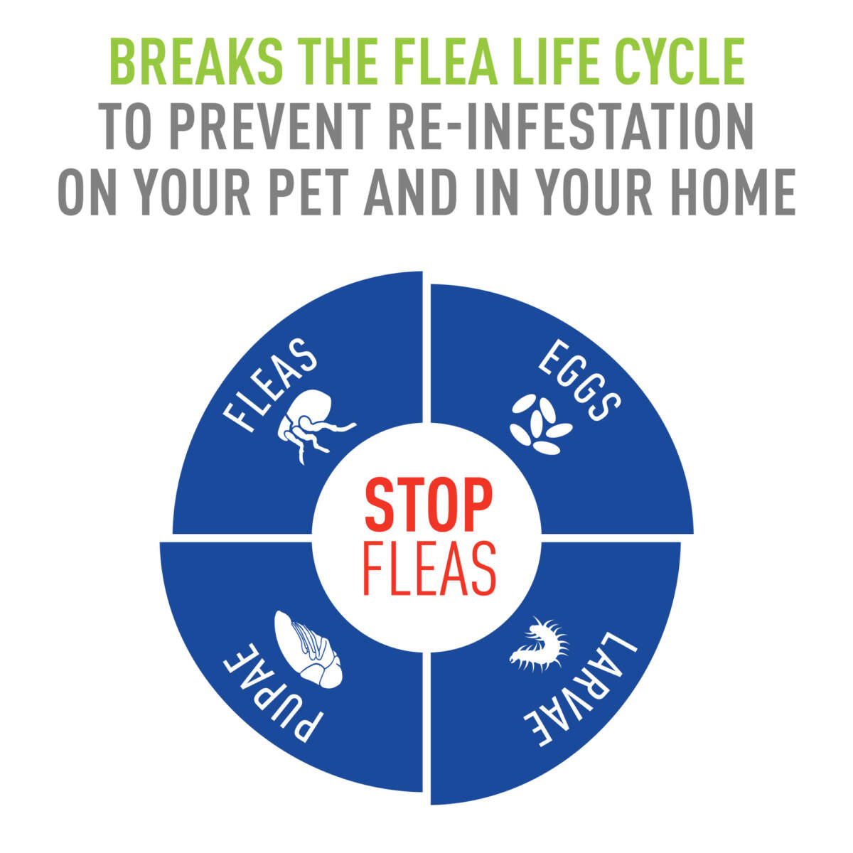 Adams Flea  Tick Spray 1ea/16 fl oz