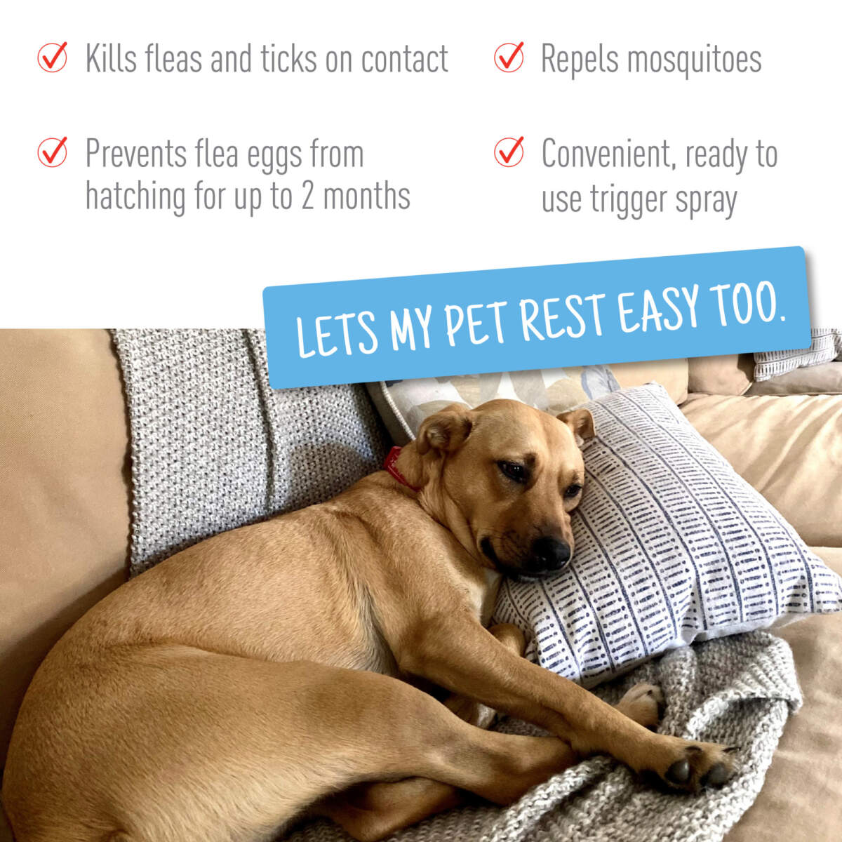 Adams Flea  Tick Spray 1ea/16 fl oz