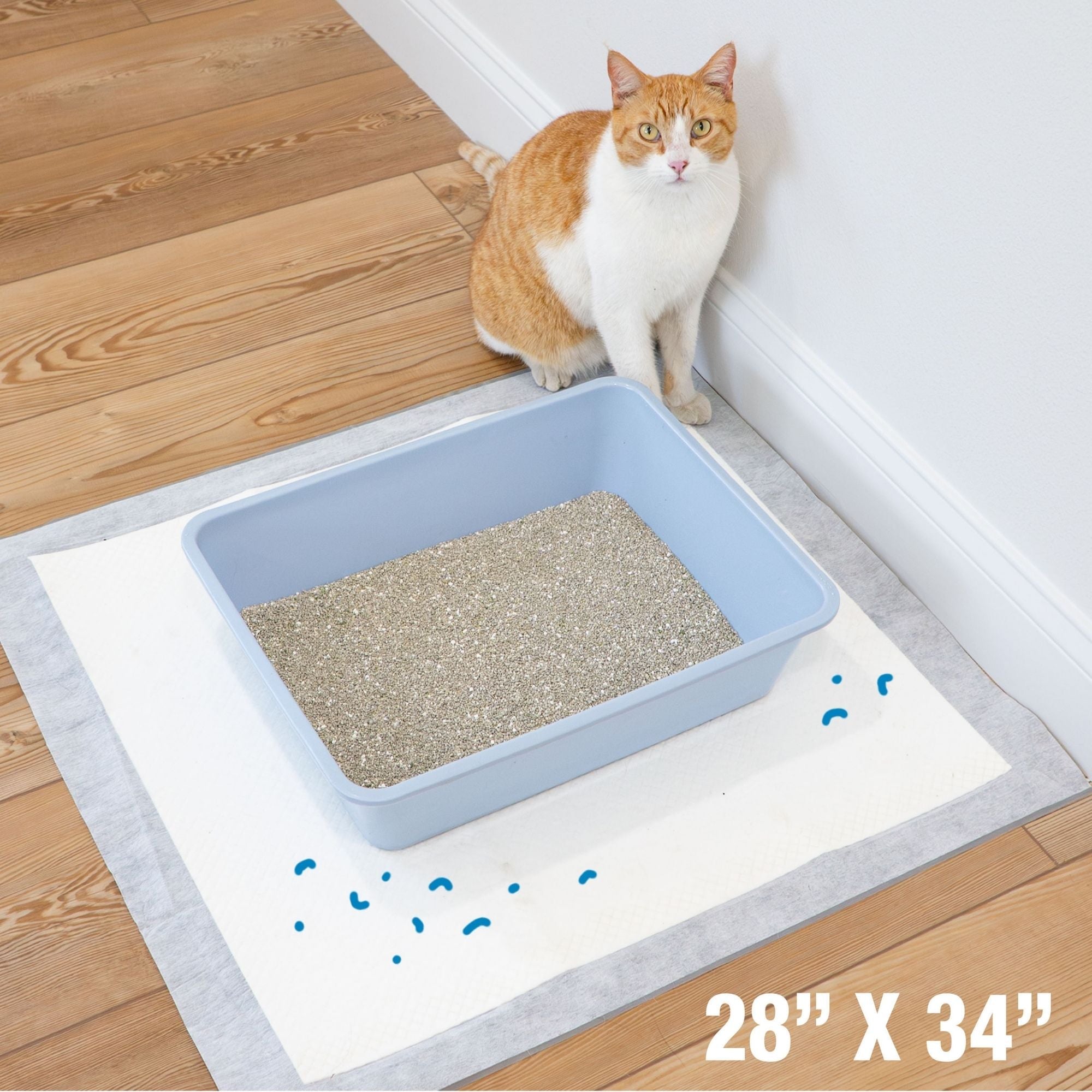 Four Paws Wee-Wee Cat Pads Unscented 1ea/28 in X 30 in (10 ct)