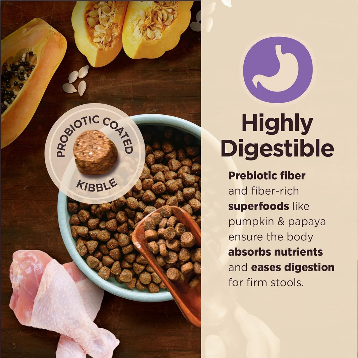 Wellness Core Digestive Health 4Lb Age Advantage Chicken Brown Rice