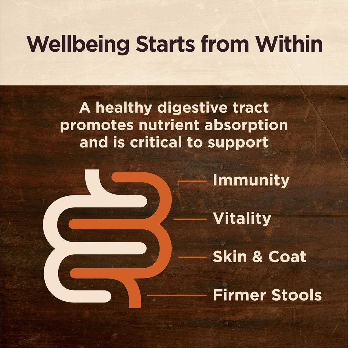 Wellness Core Digestive Health 4Lb Age Advantage Chicken Brown Rice