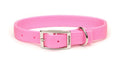 Coastal Double-Ply Nylon Dog Collar Pink Bright 1ea/1 In X 20 in