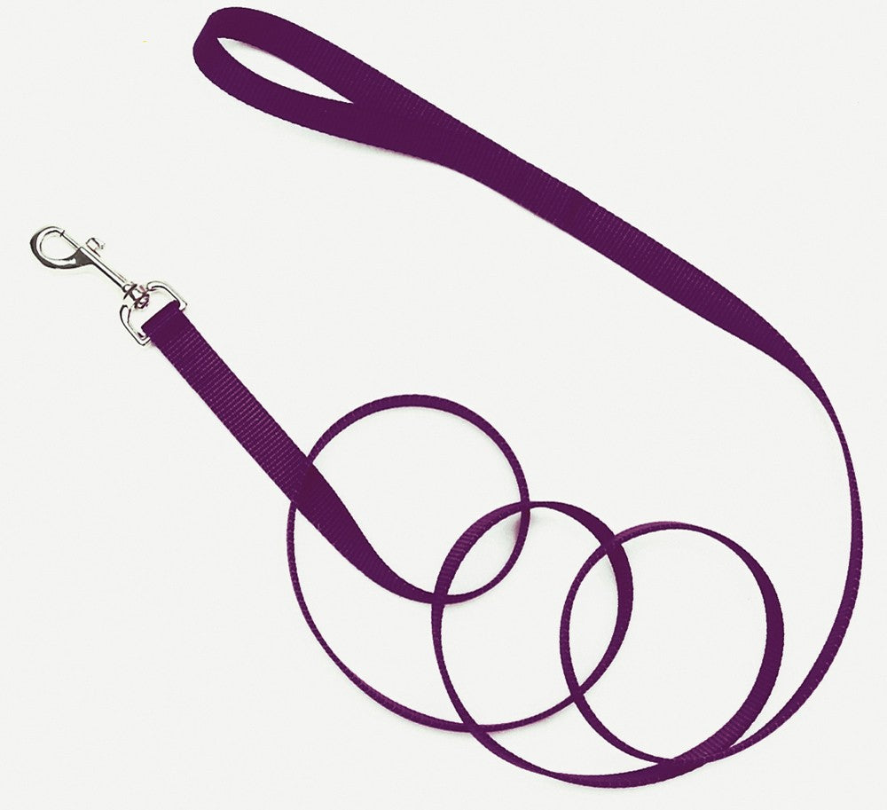 Coastal SinglePly Nylon Dog Leash Purple, 1ea/3/4 In X 6 ft