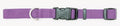 Coastal Adjustable Nylon Dog Collar with Plastic Buckle Purple, 1ea/3/4 In X 1420 in