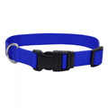 Coastal Adjustable Dog Collar with Plastic Buckle Blue Large 1" X 18"26"