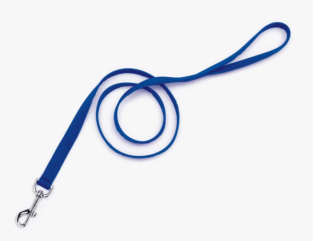 Coastal Single-Ply Nylon Leash Blue 1X6ft
