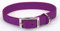 Coastal Double-Ply Nylon Collar Purple 1X24In