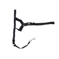 Walk 'n Train Dog Head Halter Black blank/XL