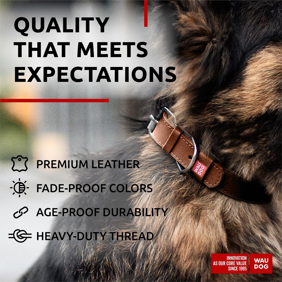 Leather Dog Collar Large Dogs 15–20 in Neck x 1 in Wide Brown
