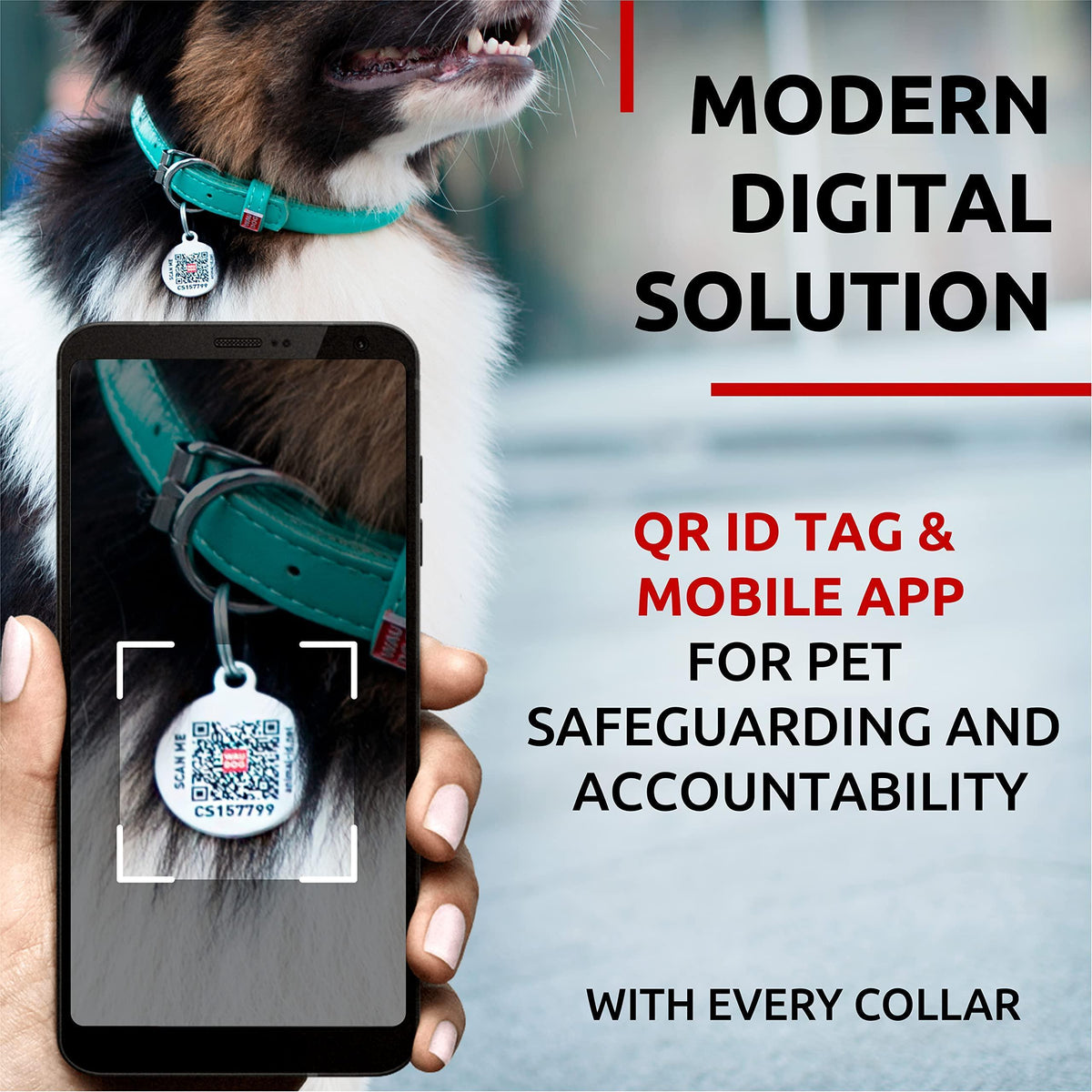 Mint Color Ultra Soft Rolled Leather Dog Collar 18-21 in Neck Soft Padded Dog Collars for Medium Dogs Puppy Collars for Large Breed Dogs Male and Female Dog Coll