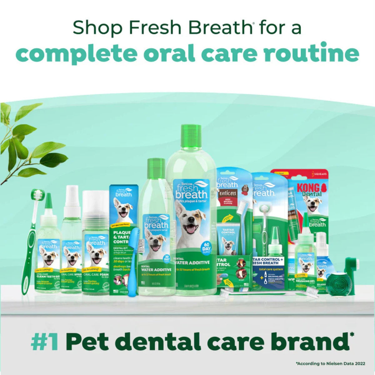 TropiClean Fresh Breath Oral Care Water Additive for Dogs 1ea/33.8 fl oz