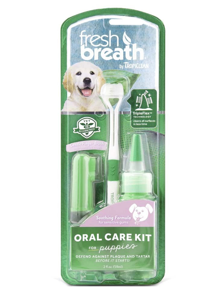 Fresh Breath oral care kit for puppies with a green and white design.