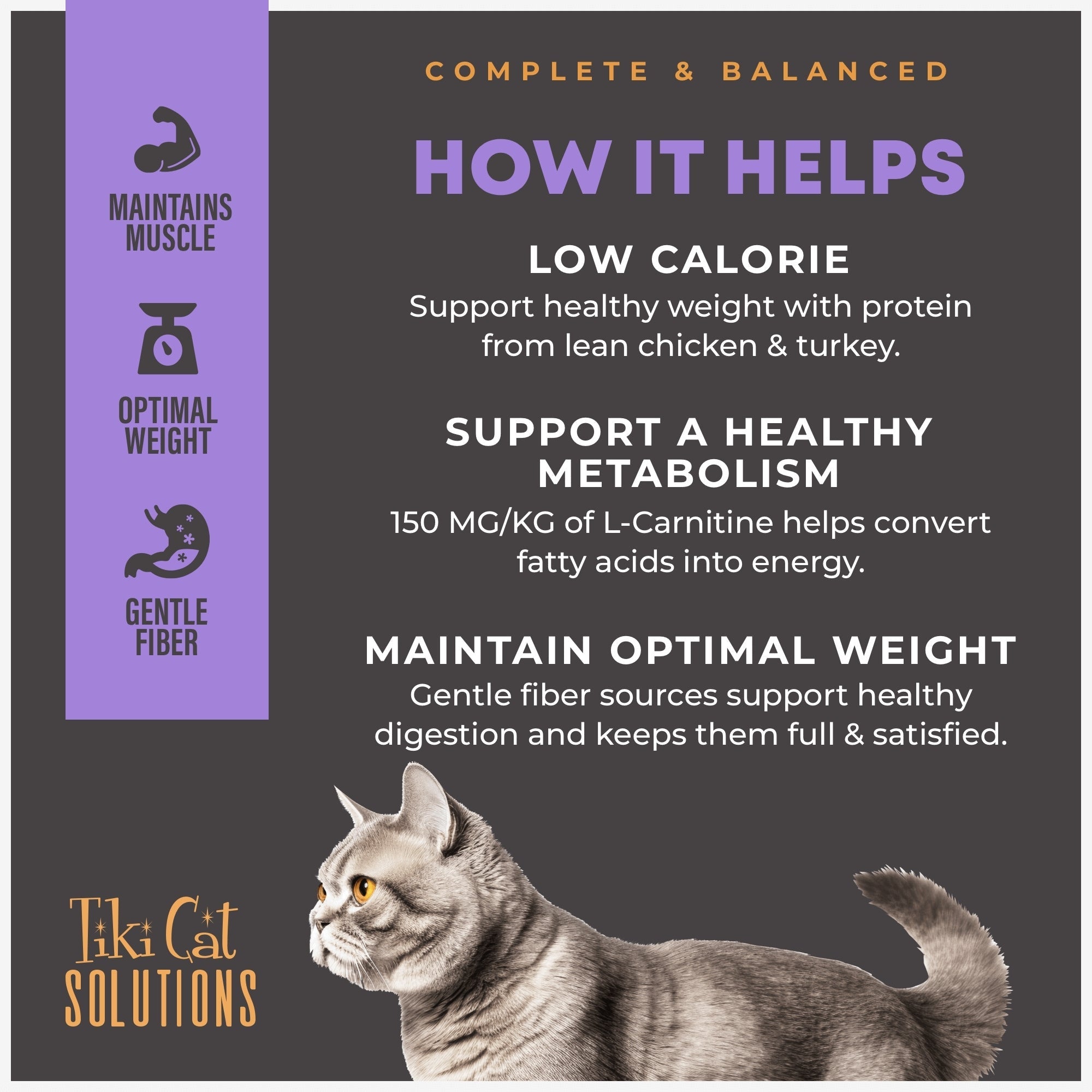 Tiki Pet Cat Solutions Light Turkey 2.8Lb