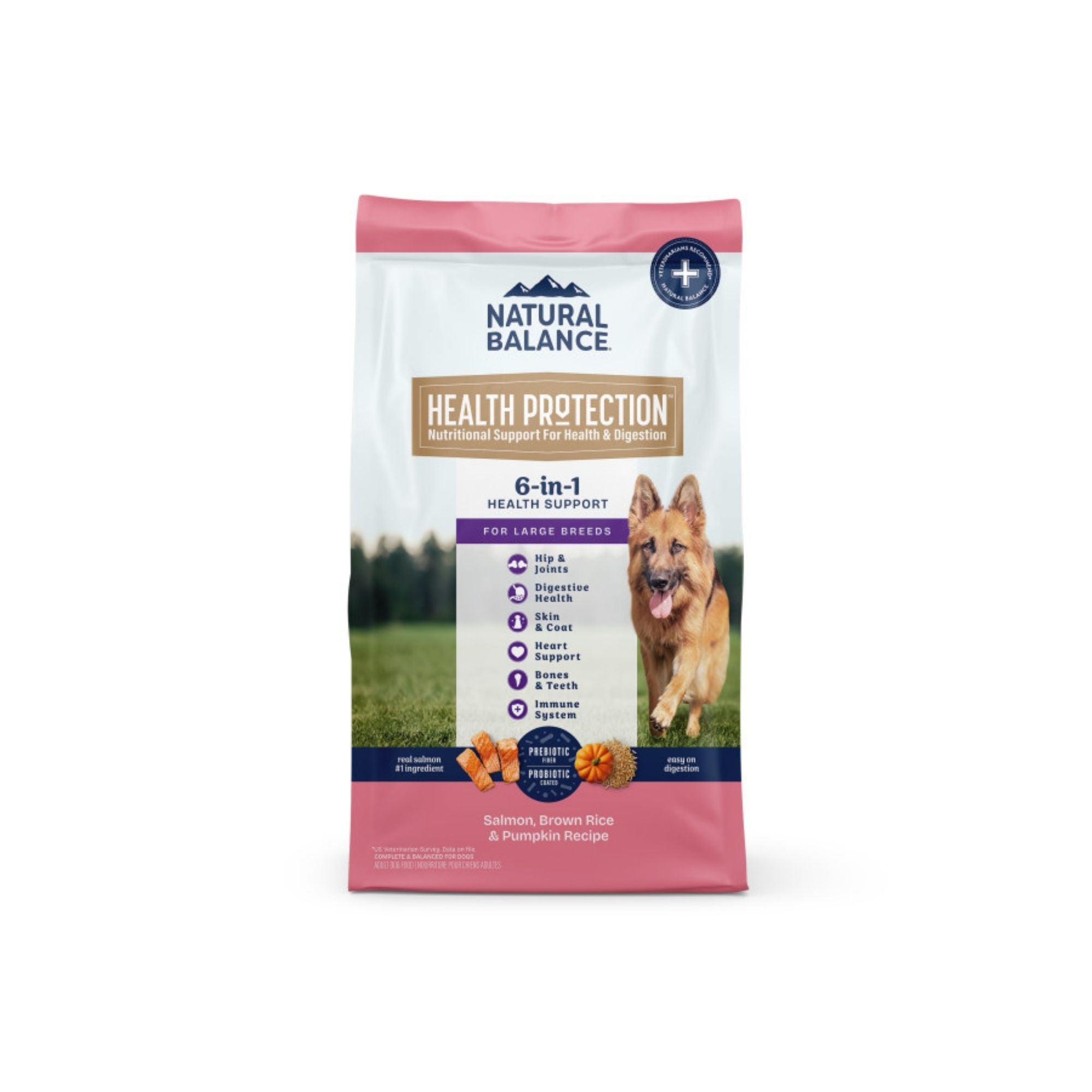 Natural Balance Pet Foods Health Protection Large Breed Dry Dog Food Salmon & Rice, 1ea/26 lb