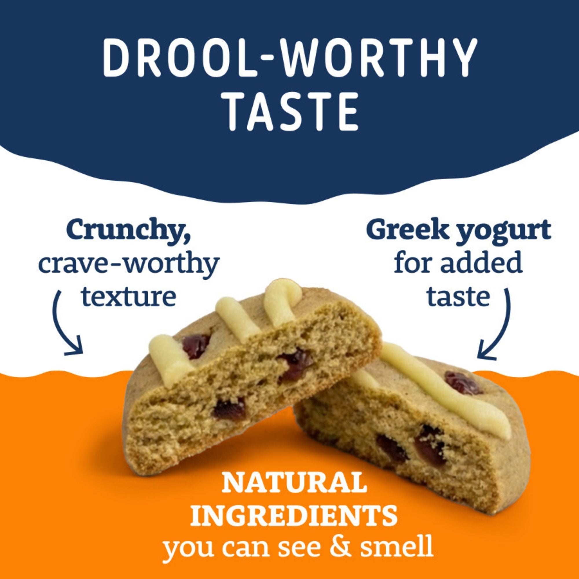 Natural Balance Pet Foods Yo-Gut Bites Dog Treats Pumpkin & Cranberries, 1ea/4.5oz.