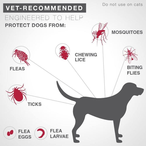 Advantage II Single Dose Large Dog Red