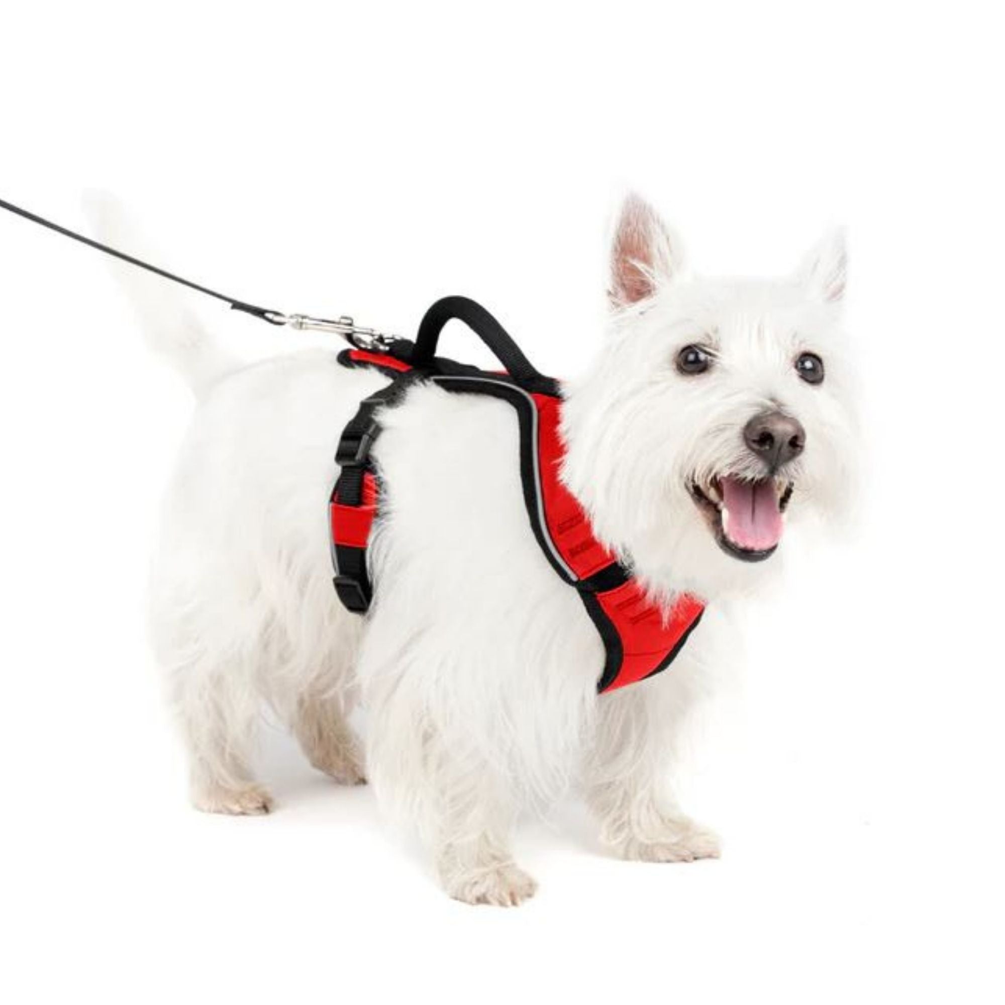 Petsafe Dog Easy Sport Harness Red Small