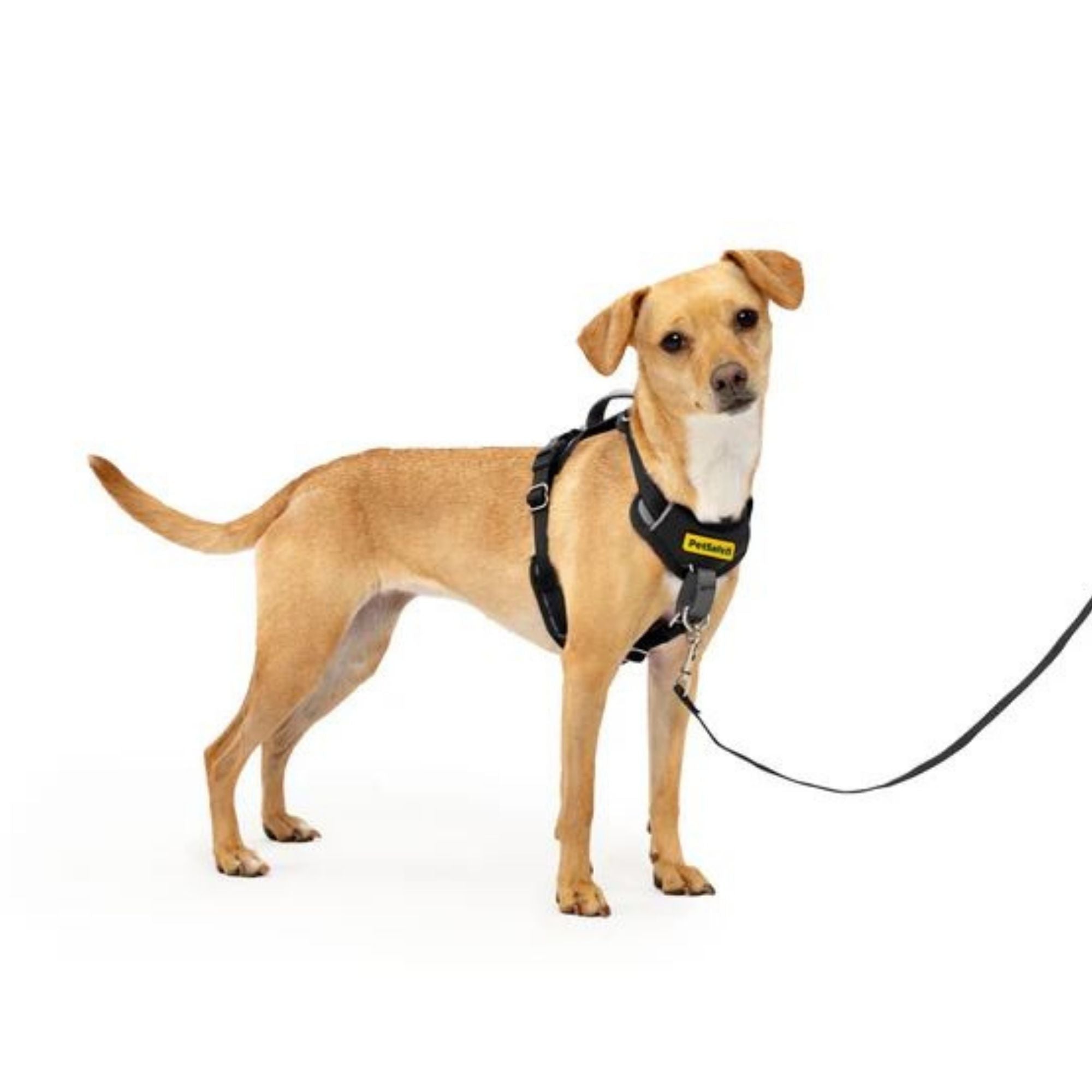 Petsafe Dog Easy Walk Comfort Harness Black Small / Medium