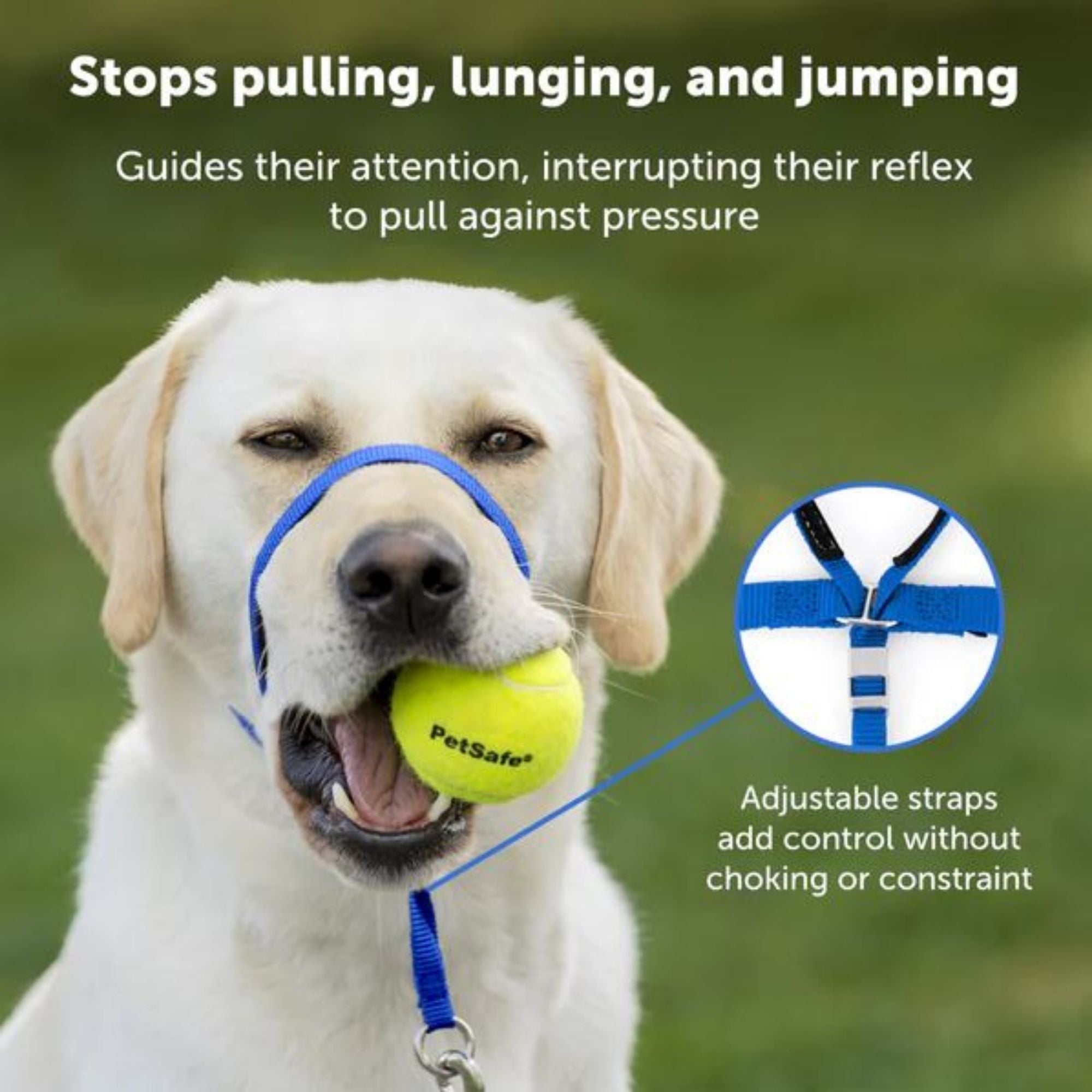 Petsafe Dog Gentle Leader Head Collar Royal Blue Small